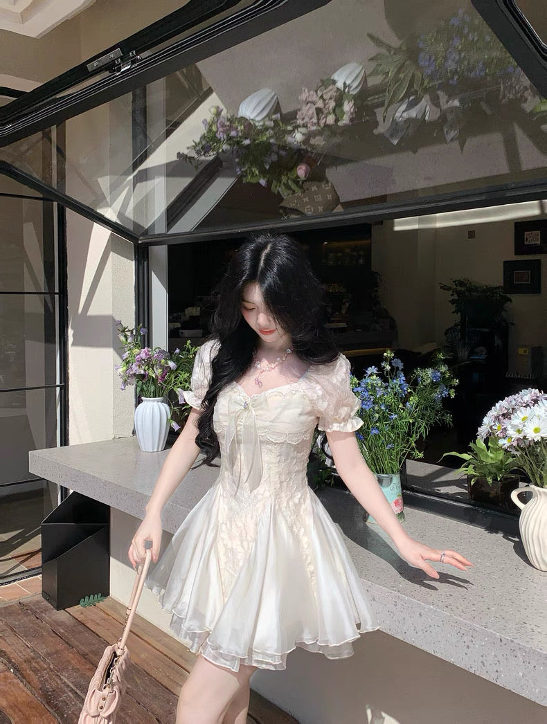 白茶与风 气质剪花蓬蓬网纱公主裙 White Tea and Wind Elegant Embroidered Tulle Princess Dress
