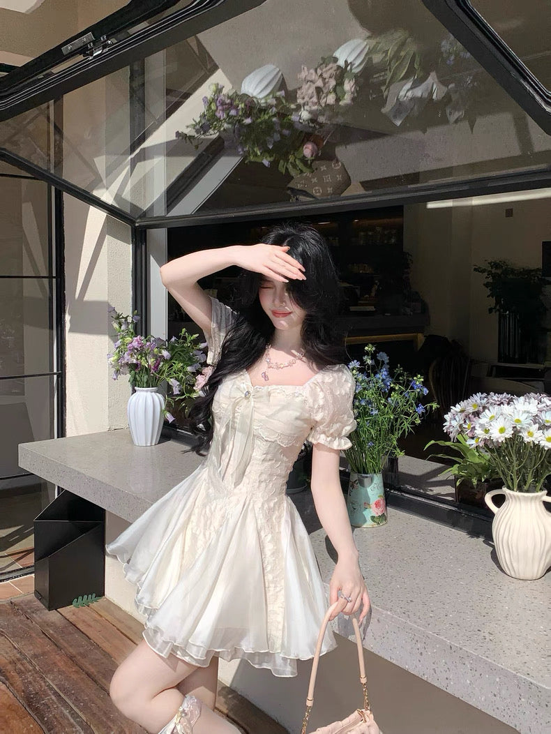 白茶与风 气质剪花蓬蓬网纱公主裙 White Tea and Wind Elegant Embroidered Tulle Princess Dress