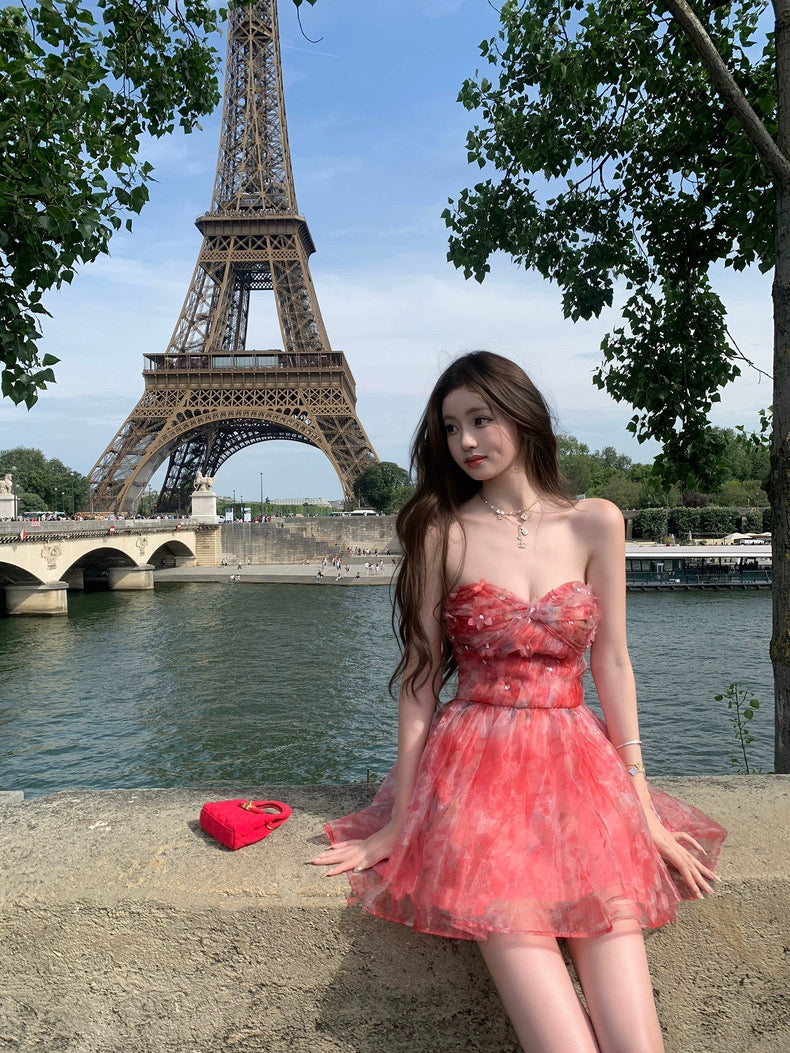 塞纳黄昏 灵动薄纱亮片印花连衣裙 Seine Dusk – Flowing Tulle Dress with Sequin Print