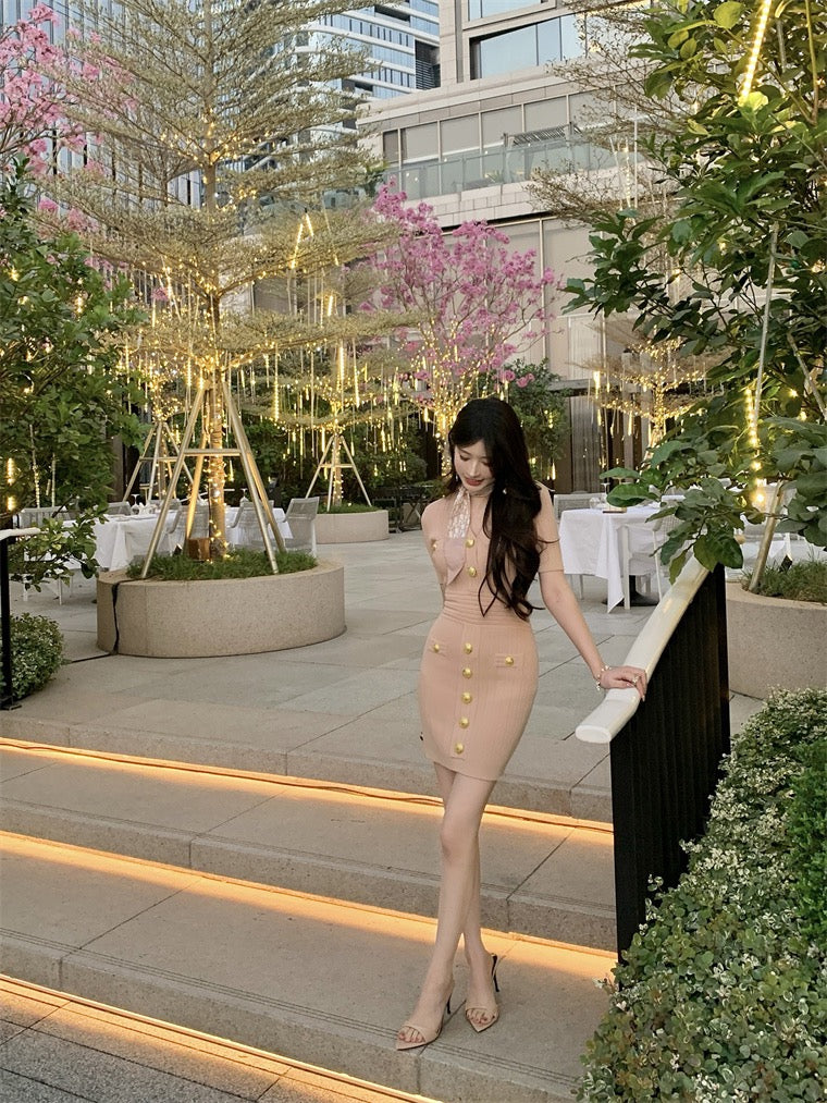 野玫瑰姐姐 曼妙针织金属扣连衣裙 Wild Rose Sister Elegant Knitted Dress with Metal Buttons