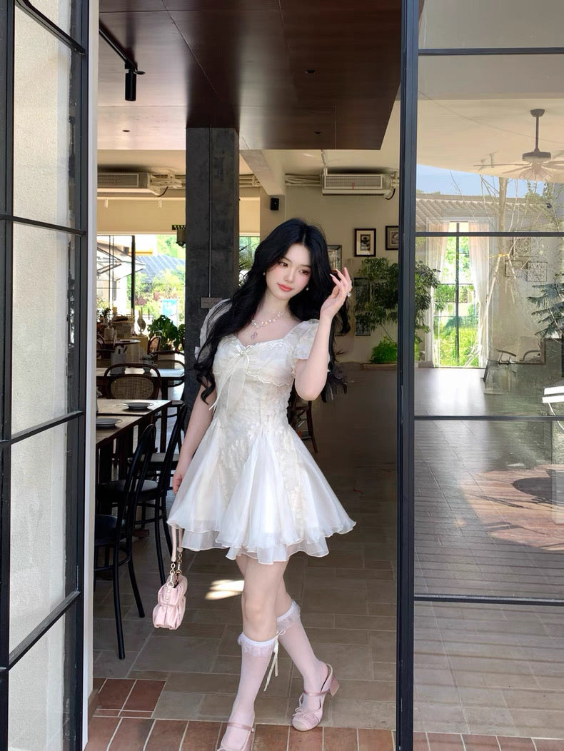 白茶与风 气质剪花蓬蓬网纱公主裙 White Tea and Wind Elegant Embroidered Tulle Princess Dress