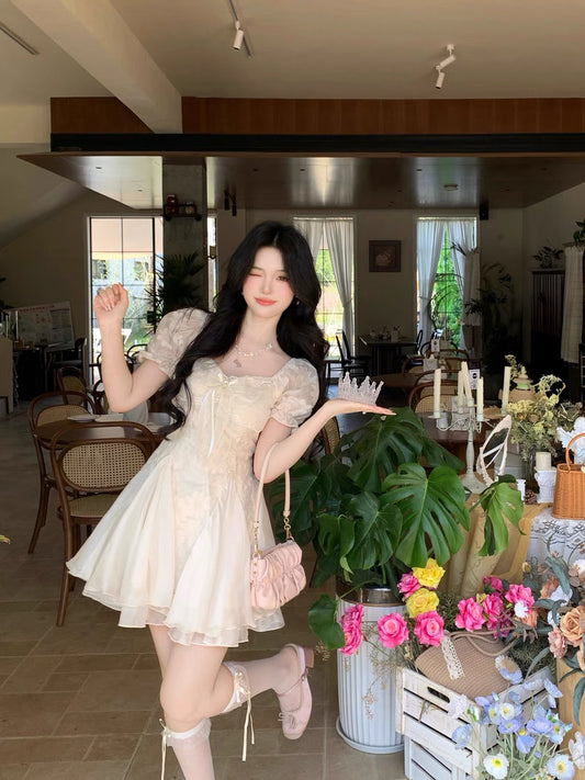 白茶与风 气质剪花蓬蓬网纱公主裙 White Tea and Wind Elegant Embroidered Tulle Princess Dress